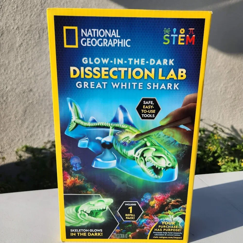National Geographic Shark Dissection Kit Glow in The Dark Great White Shark Anat